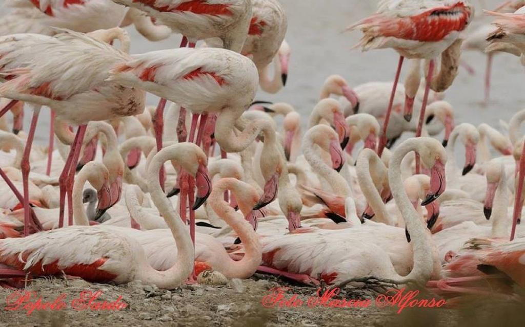 كوارتوتشو Bed And Breakfast Su Niu المظهر الخارجي الصورة