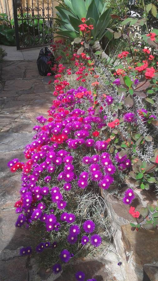 كوارتوتشو Bed And Breakfast Su Niu المظهر الخارجي الصورة